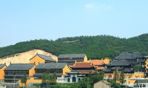 专业世预赛视频直播平台公司服务