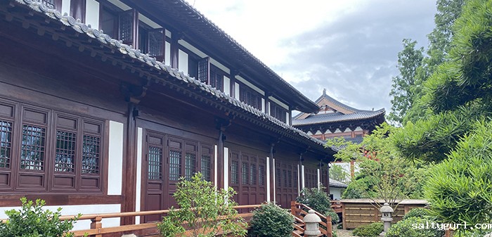 世预赛视频直播平台施工中的藻井文化