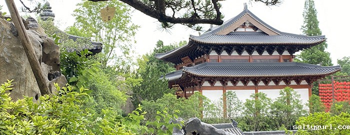 寺庙木结构施工，精湛工艺，打造历史经典之作