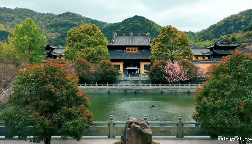 阿育王古寺总体规划设计施工  第4张