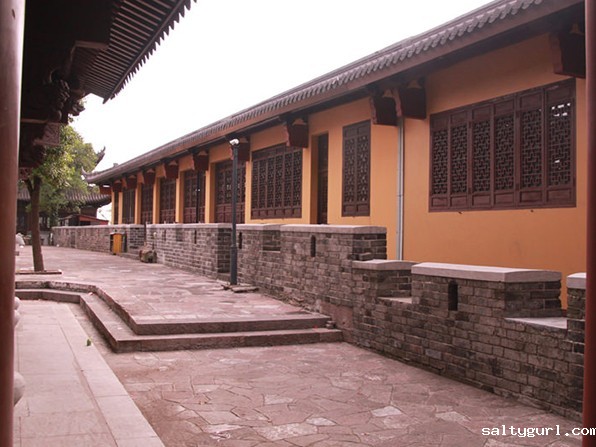 中国传统园林建筑中的走廊有哪些形式？
