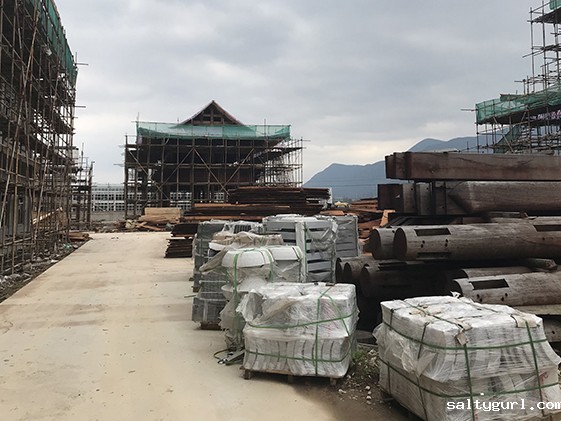 古建筑和古建园林的保护与修缮