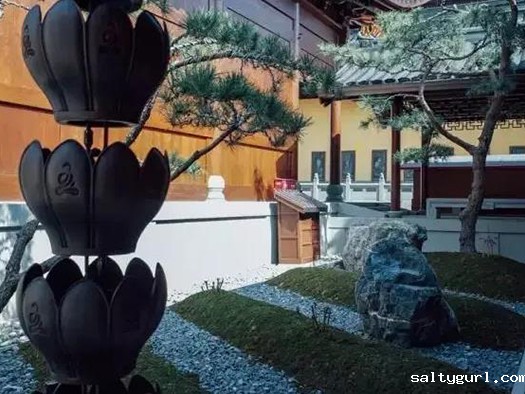 日照市物业管理条例