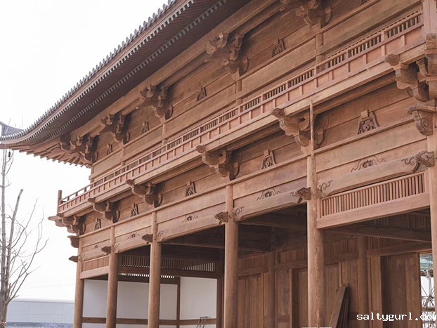 伊川高氏北祠堂（探寻河洛百座古建筑）