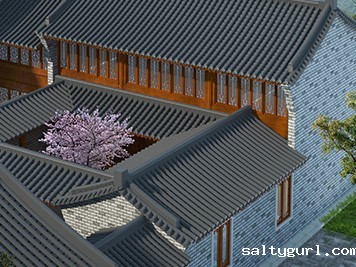 芒景村-千年种茶史，茶文化村！
