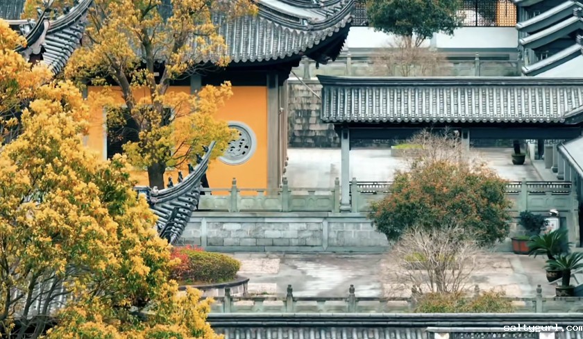 阿育王古寺总体规划设计施工  第5张